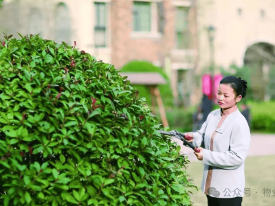 物业到底干什么的？99%的业主还不清楚！